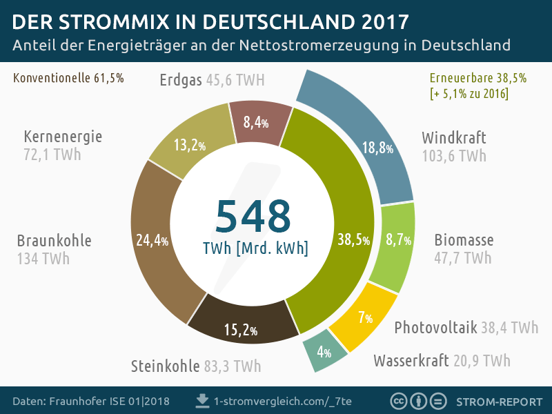 Schematische Darstellung der Zeckenentfernung