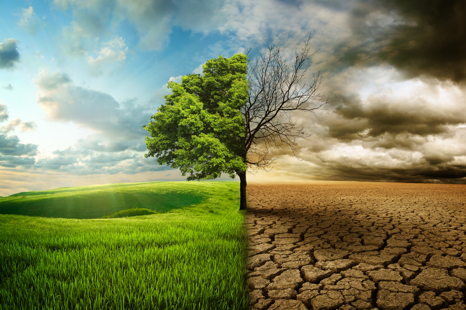 Globale_Erwaermung_Titelbild Titelbild Globale Erwärmung. Zu sehen ist auf der linken Seite eine grüne Wiese mit einem Baum. Rechts ist ein ausgetrockneter Boden und Baum.